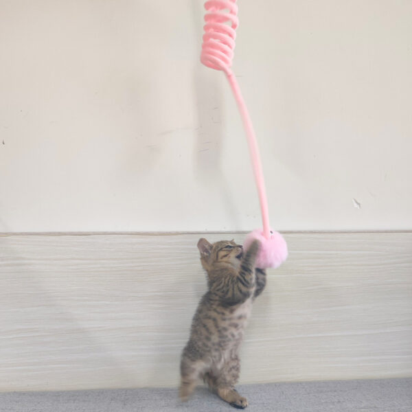 Cat Toy Sucker Spring Rabbit Hair Ball Interactive Toys - Image 2