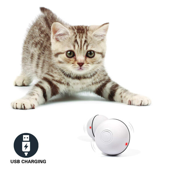 LED Laser Electronic Rolling Ball Funny Cat Toy Ball - Image 10