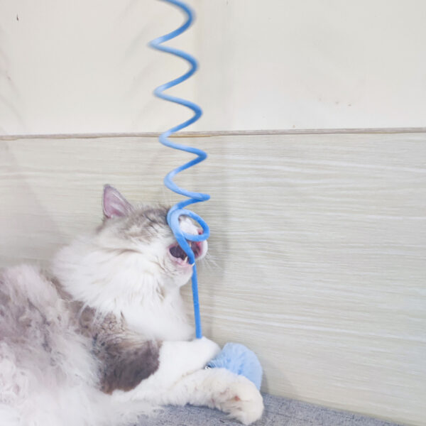 Cat Toy Sucker Spring Rabbit Hair Ball Interactive Toys - Image 3
