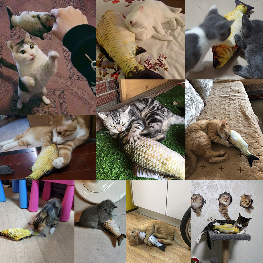 Electric Jumping Fish Simulation Electric Fish Toy for Cat -Without Cat Nip Version - Image 4